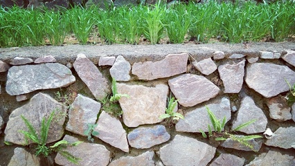 擋土墻華麗變身可食地景觀(guān)梯田