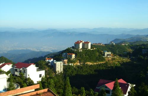 給上海鄧氏園林工程的工廠綠化景點案例留言_產(chǎn)品詢.